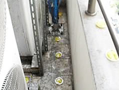 バードフリー施工例 エアコン室外機