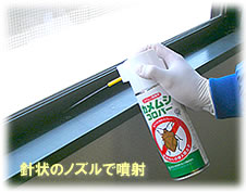 カメムシ駆除　カメムシコロパー ノズル噴射
