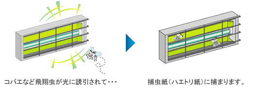 ムシポン捕虫器 誘引 捕まる
