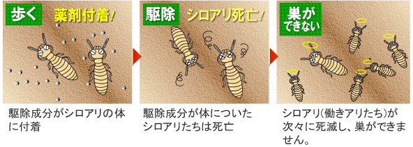 シロアリハンター シロアリ予防の仕組み
