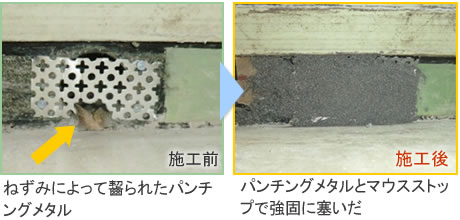 ネズミ忌避剤 マウスストッププレミアム 塗布