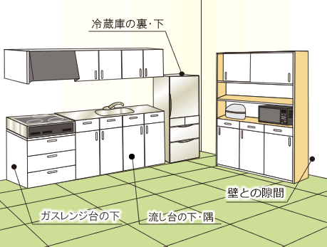 デスモアプロ 設置場所例