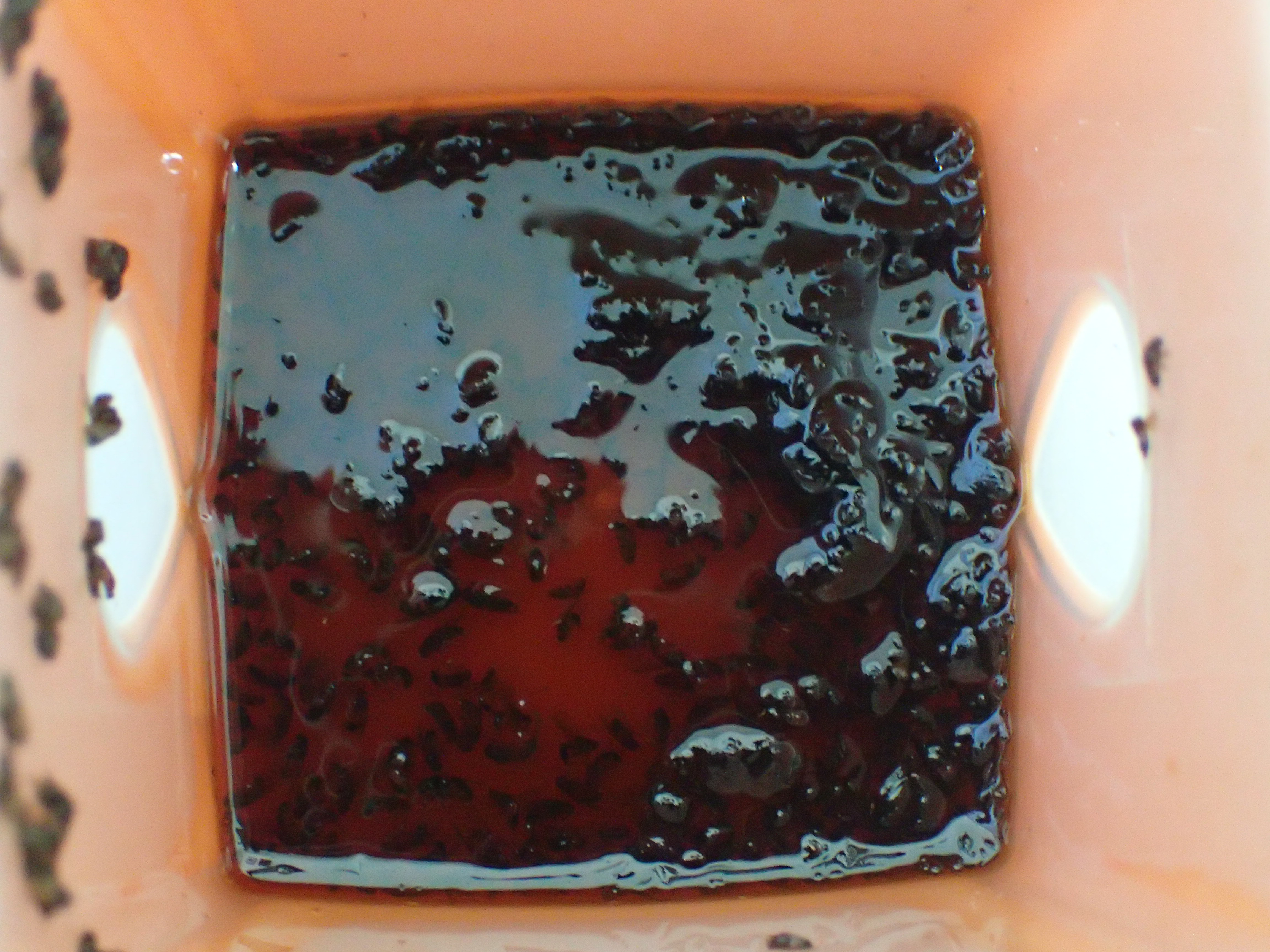 ZENDOZONES 現場試験