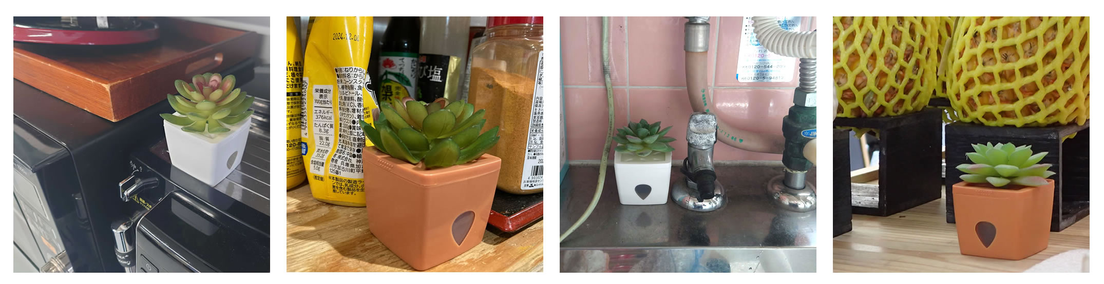 ZENDOZONES 設置場所