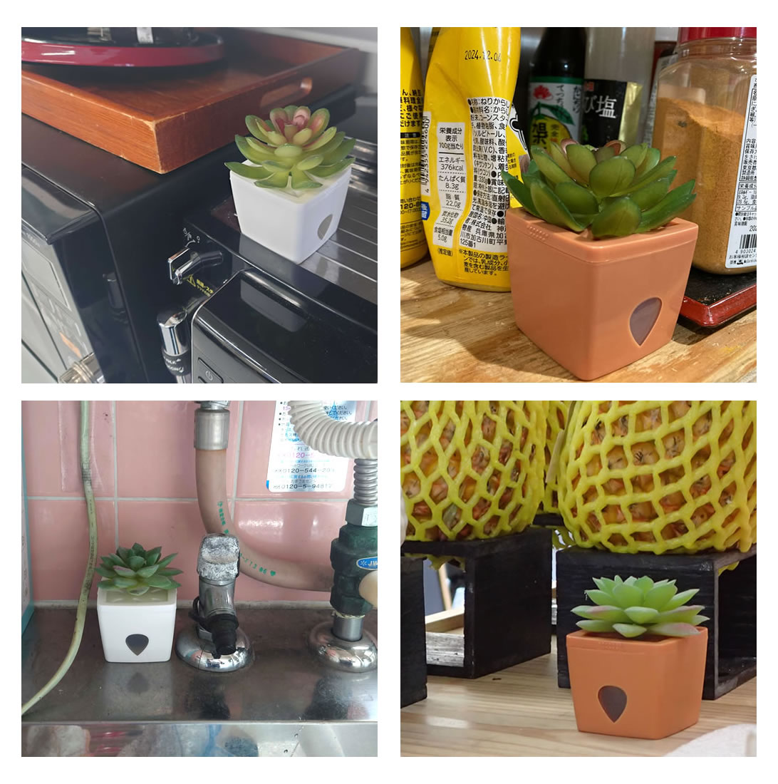 ZENDOZONES 設置場所