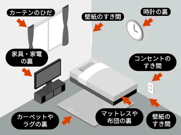 ゼロノナイト ゴキブリ