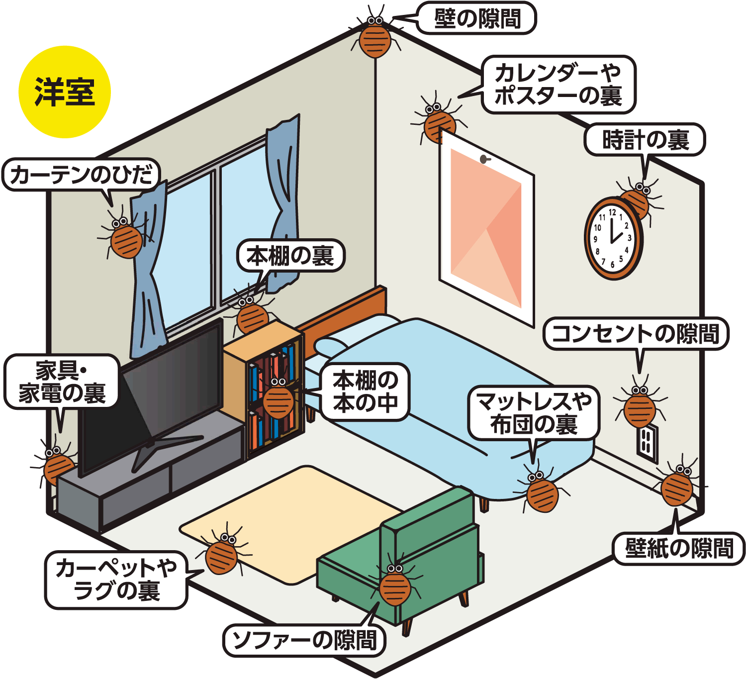 ゼロノナイト ゴキブリ