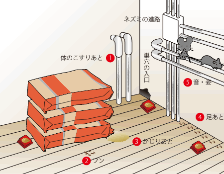 ネズミが好む餌 例