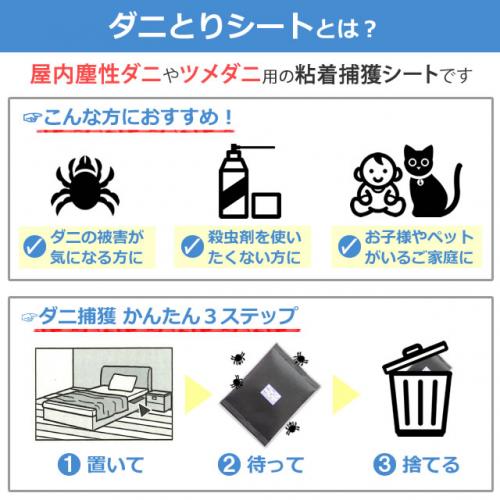限定特価品⑨　D301[分解洗浄済]　車内・布団ダニ駆除に最適です・ダイソンV6 dshead178_6.jpg