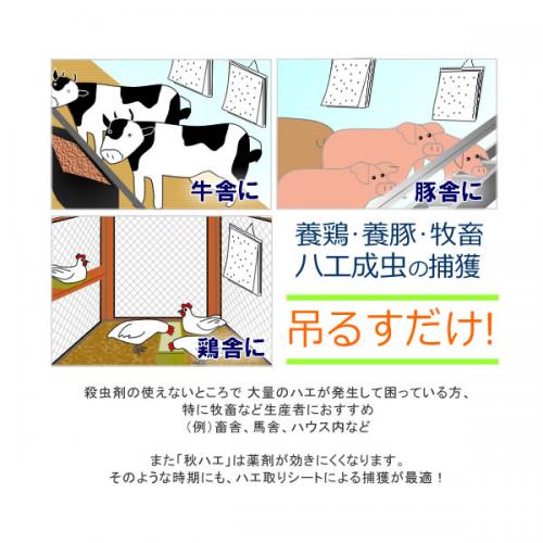 虫退治.COM / 大型ハエ取り紙 虫とりカレンダーシートの販売