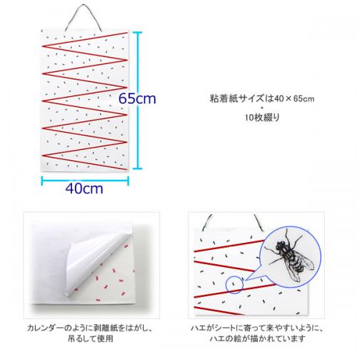 乗馬　家畜　大型ハエ取り紙 虫とりカレンダー（10枚綴り） 三共消毒 Amazon.co.jp: 大型ハエ取り紙 虫とりカレンダーシート