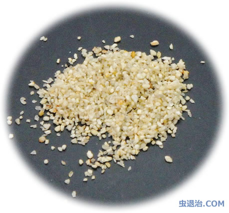虫退治 Com スミラブ粒剤ses 第2類医薬品 ボウフラ ウジ駆除剤 蚊幼虫を駆除する薬 粒タイプ チョウバエやユスリカ幼虫にも効く 虫退治 Com スミラブ粒剤ses 第2類医薬品 ボウフラ ウジ駆除剤 蚊幼虫を駆除する薬 粒タイプ チョウバエやユスリカ幼虫にも効く