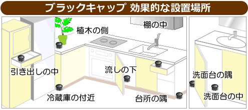 ゴキブリ駆除剤 ブラックキャップ 効果的な設置場所