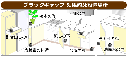 ゴキブリ駆除剤 ブラックキャップ 効果的な設置場所