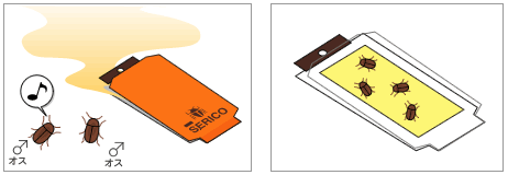 ニューセリコ タバコシバンムシ用 フェロモンで誘引