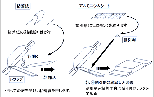 トリオス消耗品セット コクヌストモドキ用 トラップの組み立て方