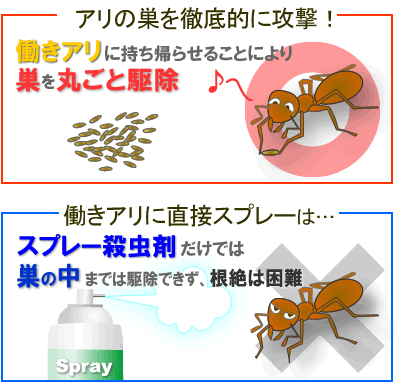 アリ駆除 アリの巣駆除には毒餌タイプの殺虫剤 アリキックベイト