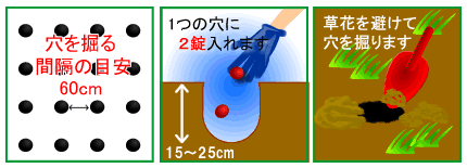 モグラクリン 穴を掘って埋める モグラを忌避