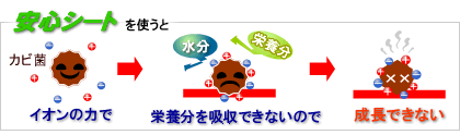 安心シートを使うと栄養分を吸収できない