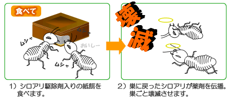 シロアリハンター 白蟻が食べると死亡
