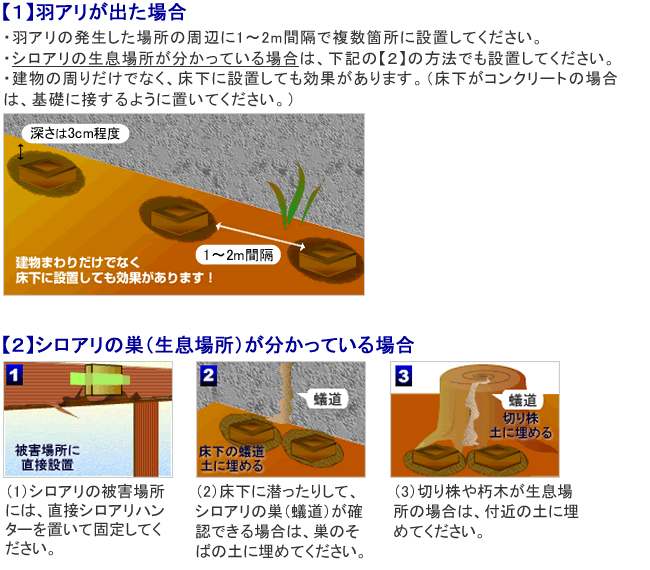 シロアリハンター ヤマトシロアリ駆除