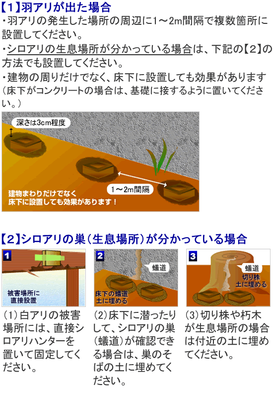 シロアリハンター ヤマトシロアリ駆除