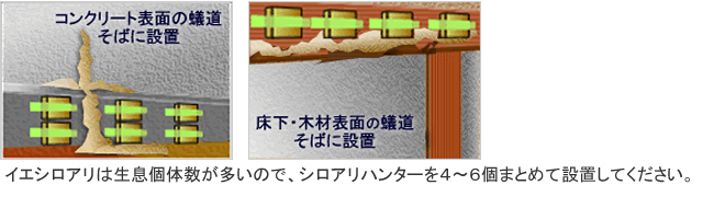 シロアリハンター イエシロアリ駆除