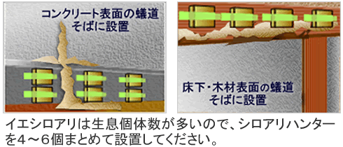 シロアリハンター イエシロアリ駆除