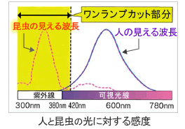 ワンランプ蛍光灯 人と昆虫の光に対する感度