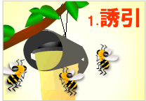 ハチ激取れ スズメバチを誘引