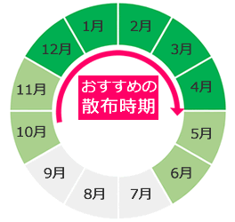 カペレン粒剤 散布時期