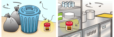 業務用コバエがホイホイ 発生場所に設置