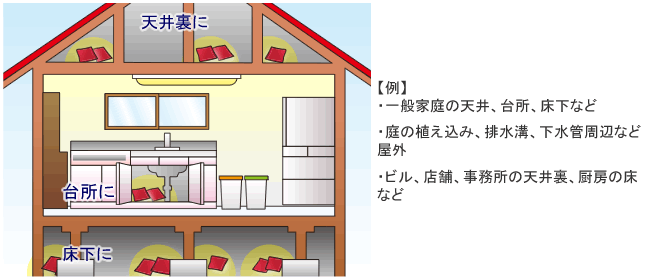 イカリネオラッテP 設置場所例