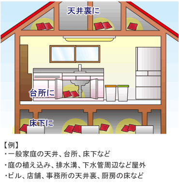 イカリネオラッテP 設置場所例