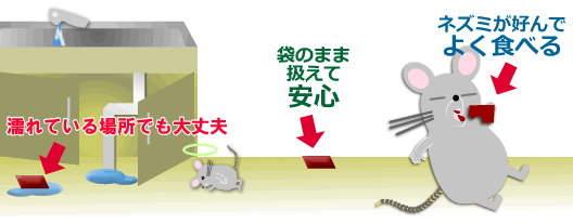 イカリネオラッテP ワルファリン