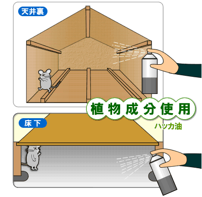 虫退治 Com ネズミ追い出しに ねずみがいやがるスプレー 3ml ねずみ忌避スプレー 床下 天井裏 ネズミ退治