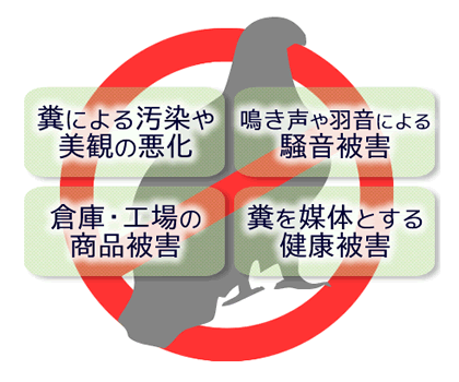 ハトの4つの被害