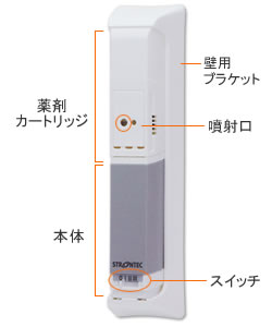 ストロンテック2個