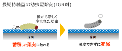 ファーストキルN IGR剤が持続して効果を発揮