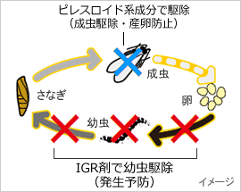 IGR ピレスロイド剤が入ったファーストキルN 害虫駆除