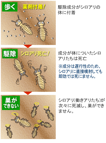 シロアリハンター 白アリ駆除 しくみ