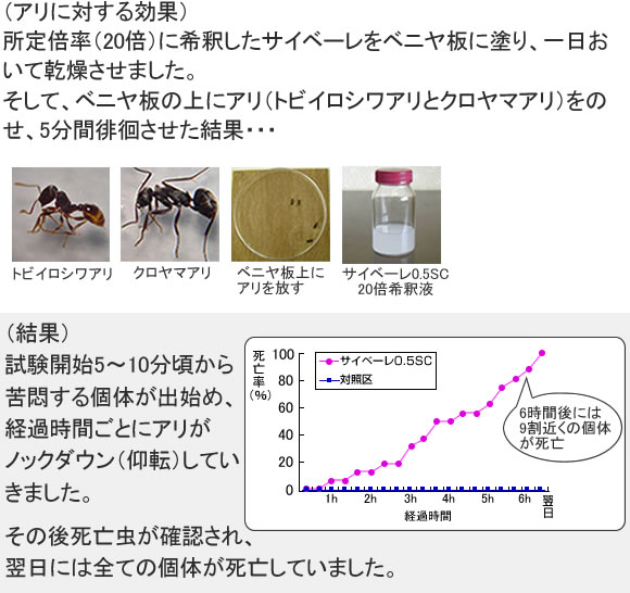 2本セット❗️即決新品未開封✨サイベーレ0.5SC 900ml