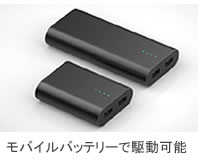 ルイクスC LED捕虫器 モバイルバッテリー