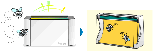 ルイクス 捕虫器 ハエコバエを捕獲