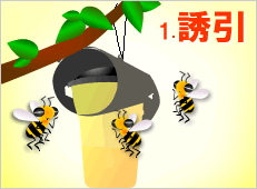 ハチ激取れ スズメバチを誘引