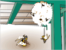 ハチの巣駆除ムース 巣から蜂が落下
