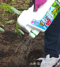 グリーンスキットシャワー 液体タイプの除草剤 そのまま散布