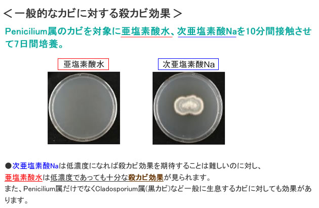 クロラス酸Nバリア 殺カビ 効果