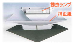 捕虫器 イルメ 中の様子