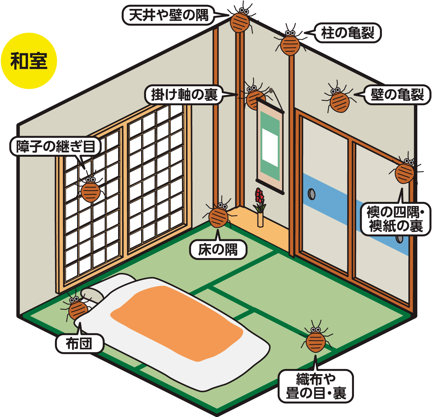 ゼロノナイト ゴキブリ